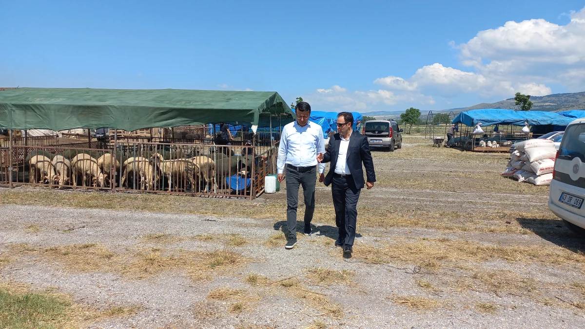 Eskişehir’de kurban kesim yerleri belli oldu 