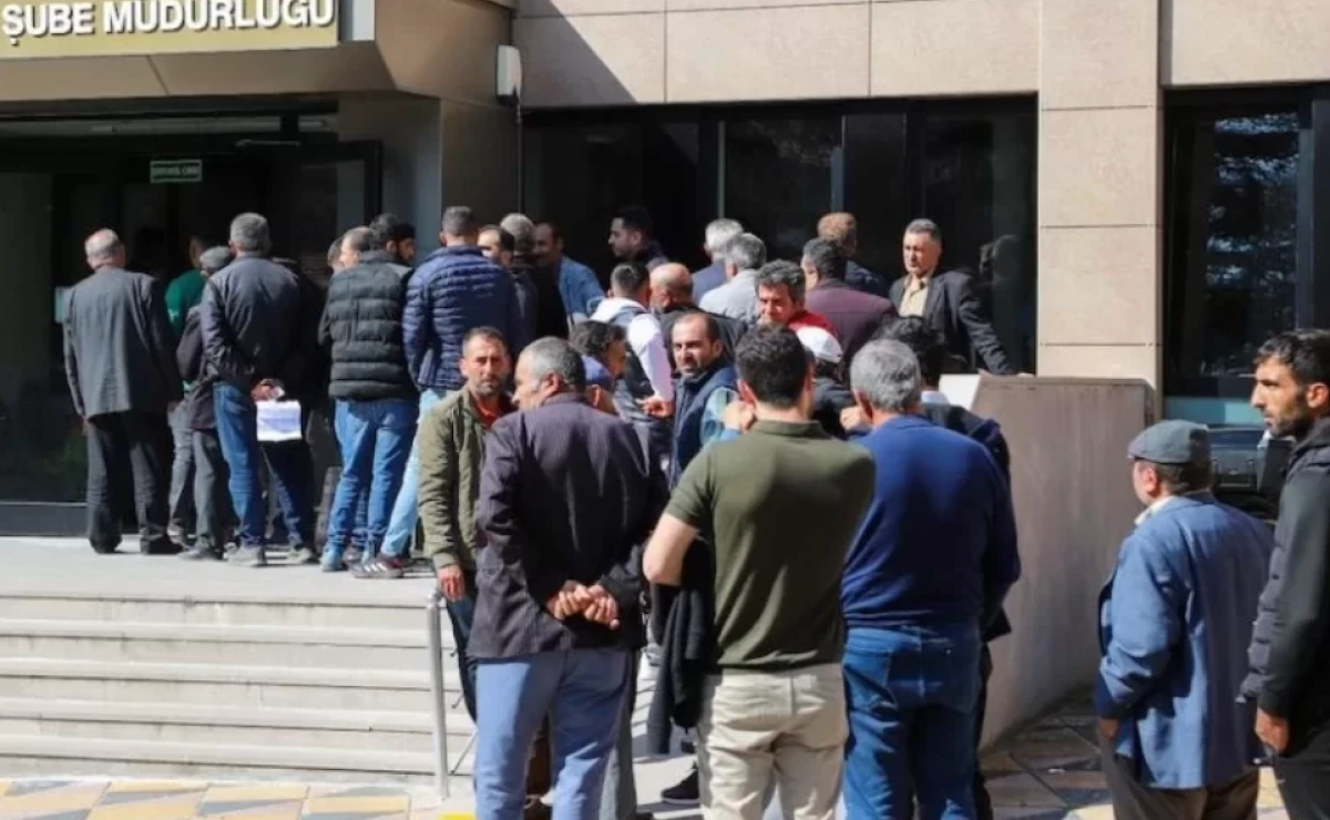 Almak için değil, satmak için kuyruğa girdiler 