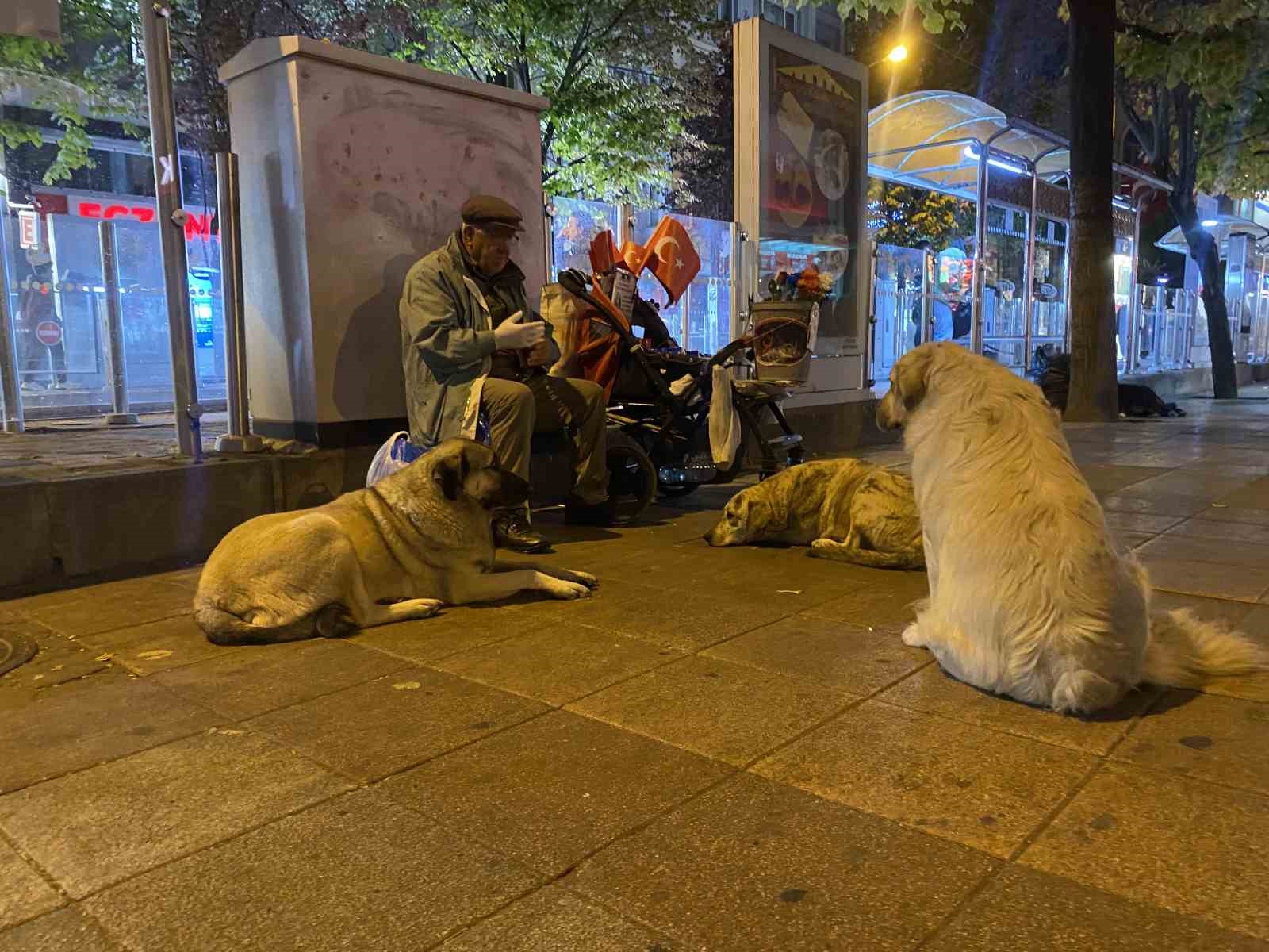 seyyar-saticiliktan-elde-ettigi-kazanci-hayvanlarla-paylasiyor