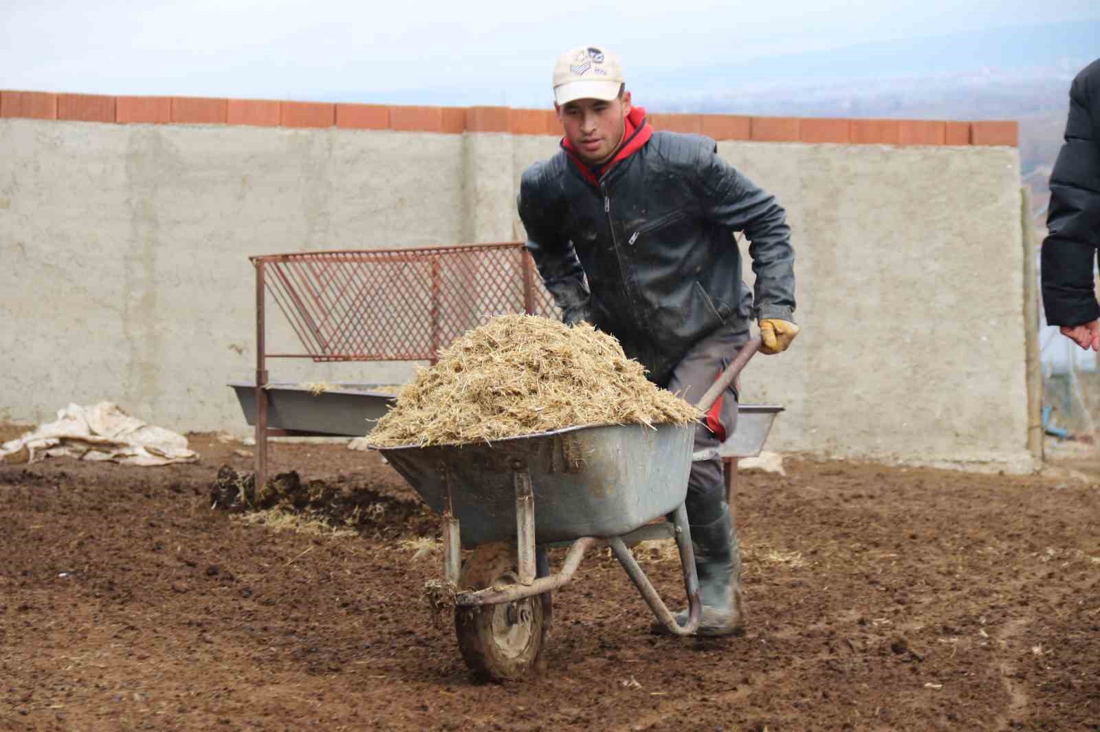 universiteli-coban-kis-mevsiminde-kucukbas-hayvan-bakiminin-zorluklarini-anlatti