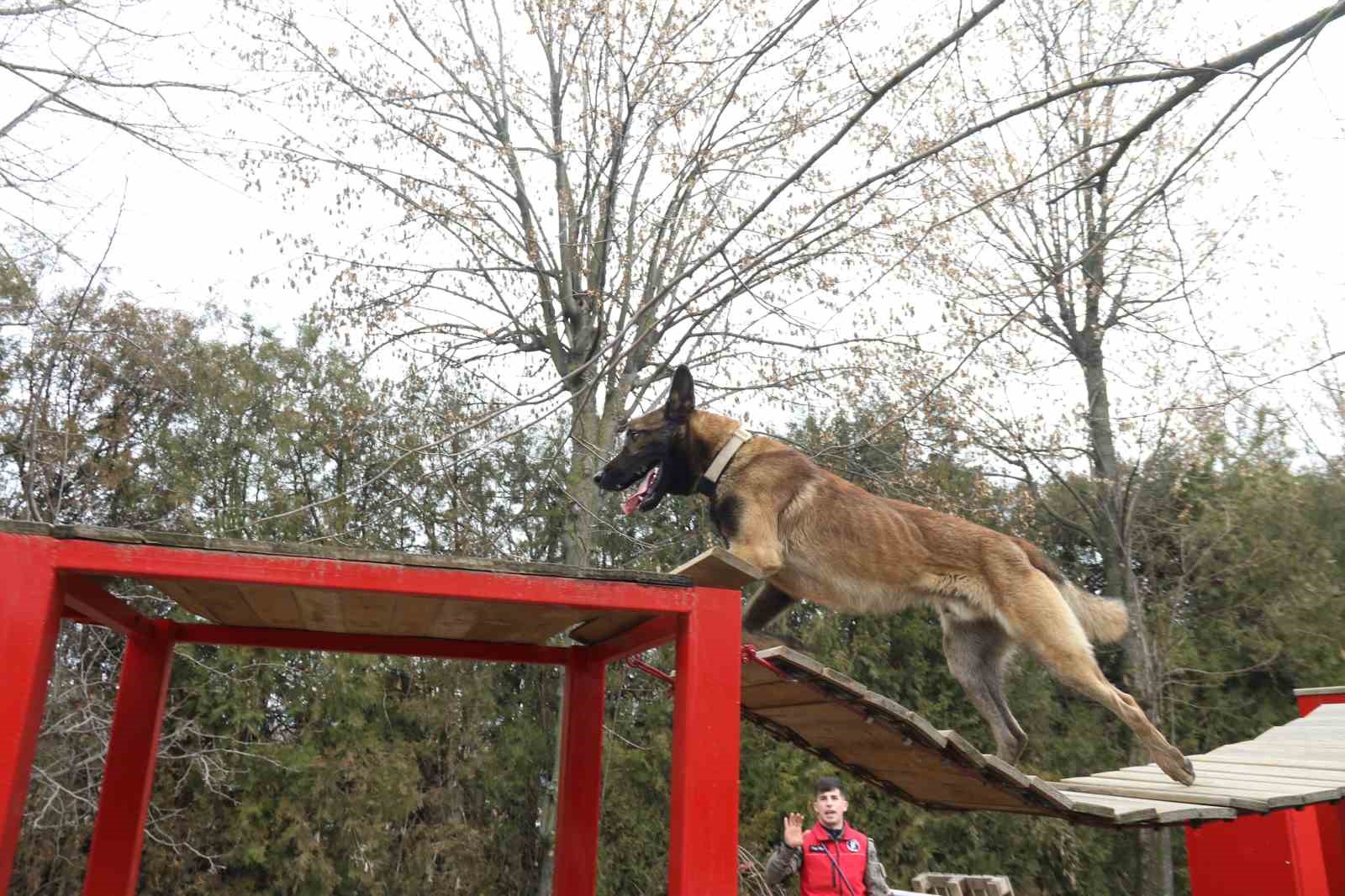 k-9-arama-kurtarma-kopegi-adam-turkiyenin-en-genc-egitmeni-ile-afetlere-hazirlaniyor