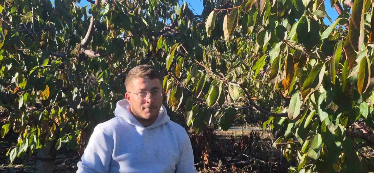 zirai-dondan-etkilenen-kiraz-ureticisinden-devlete-destek-tesekkuru