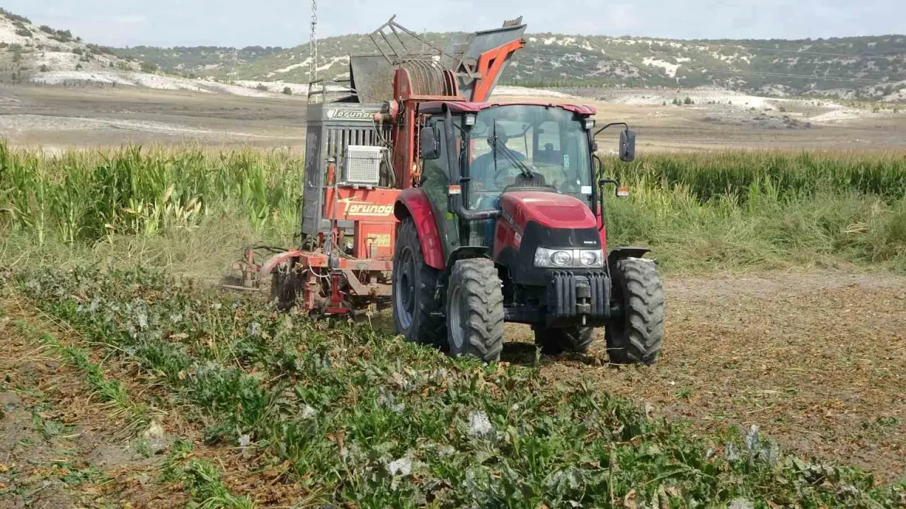 kutahyada-pancar-hasadi-basladi
