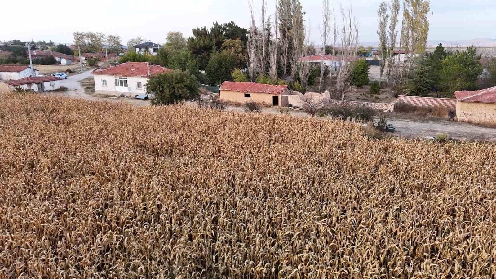 eskisehirde-14-yil-sonra-ahirdan-cikarilan-cesedin-gomuldugu-yer-goruntulendi