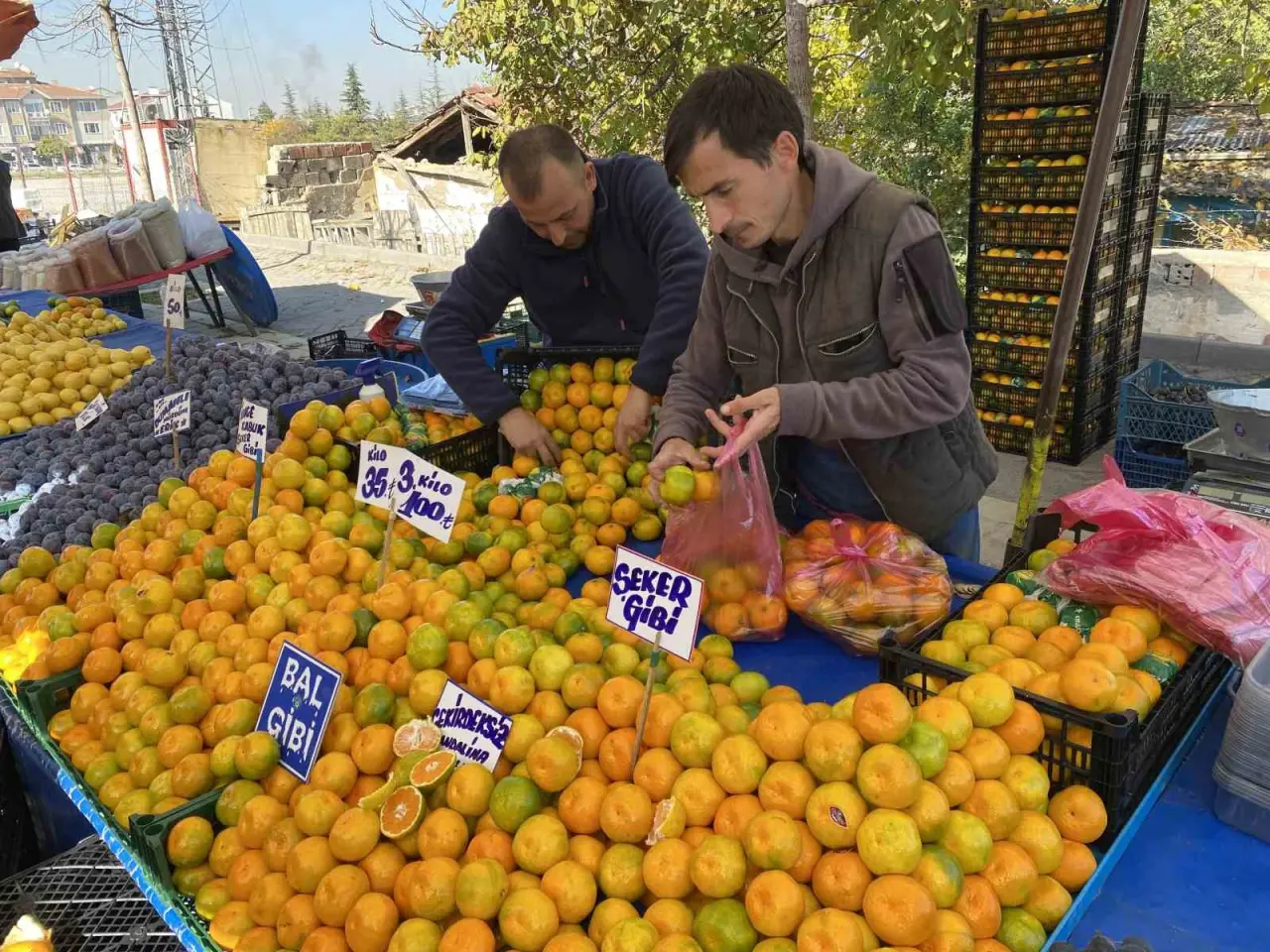 mandalinanin-fiyati-gecen-seneye-gore-yuzde-30-dustu