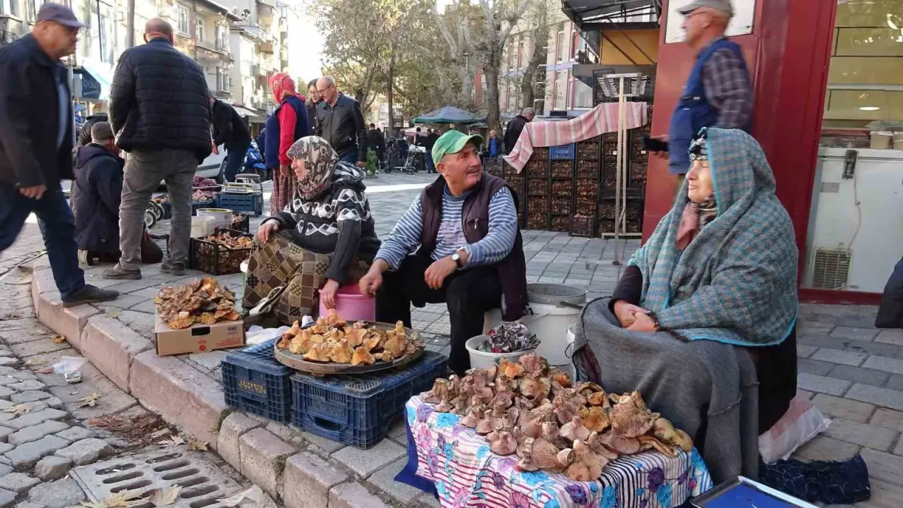 kutahyada-melki-mantari-cogaldi-fiyatlar-dustu