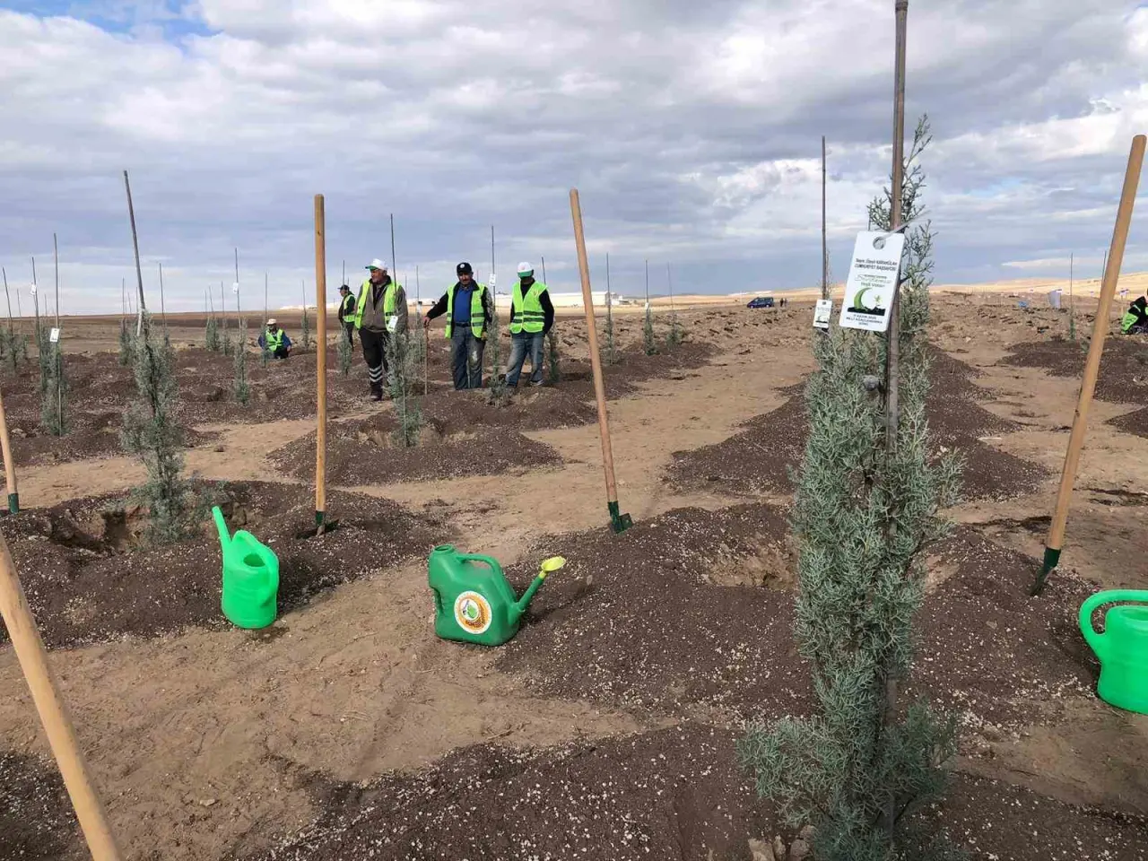 11-kasim-milli-agaclandirma-gununde-20-bin-fidan-dikildi