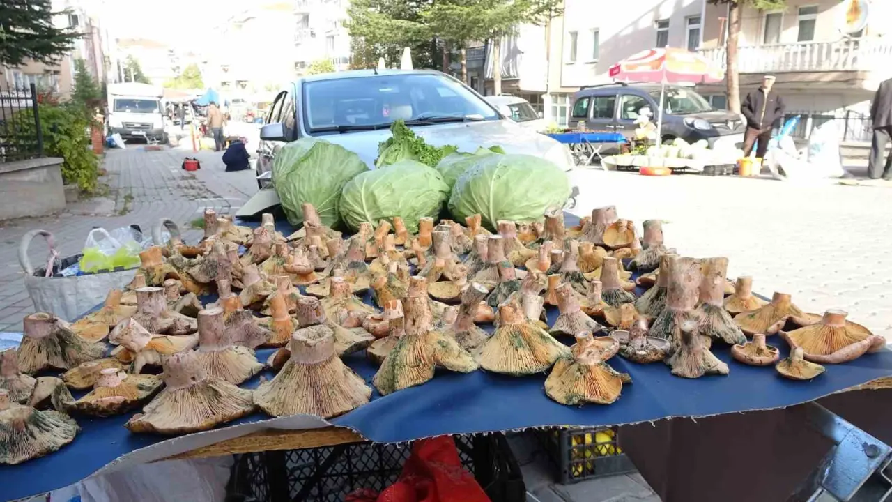 kutahyada-melki-bereketi