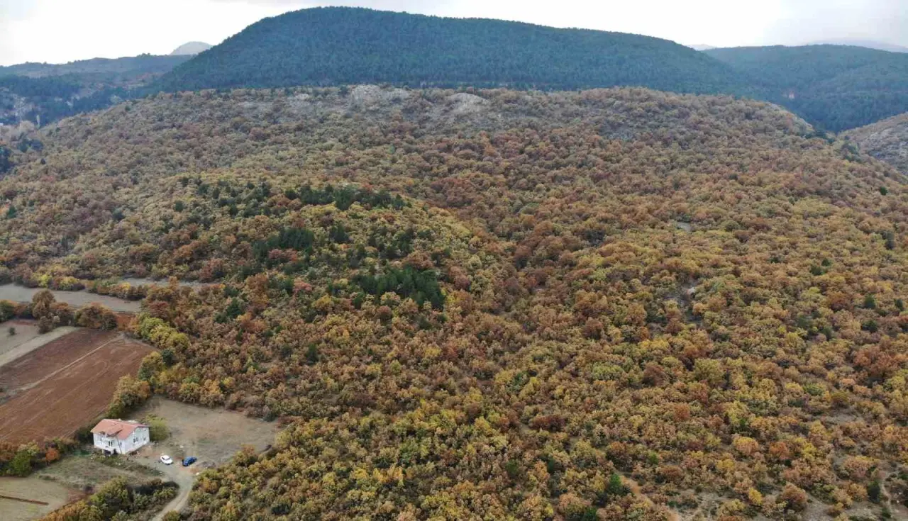 kutahyada-sonbahar-guzelligi