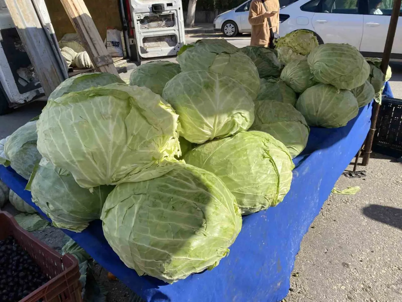 eskisehir-pazarinda-devasa-lahanalar