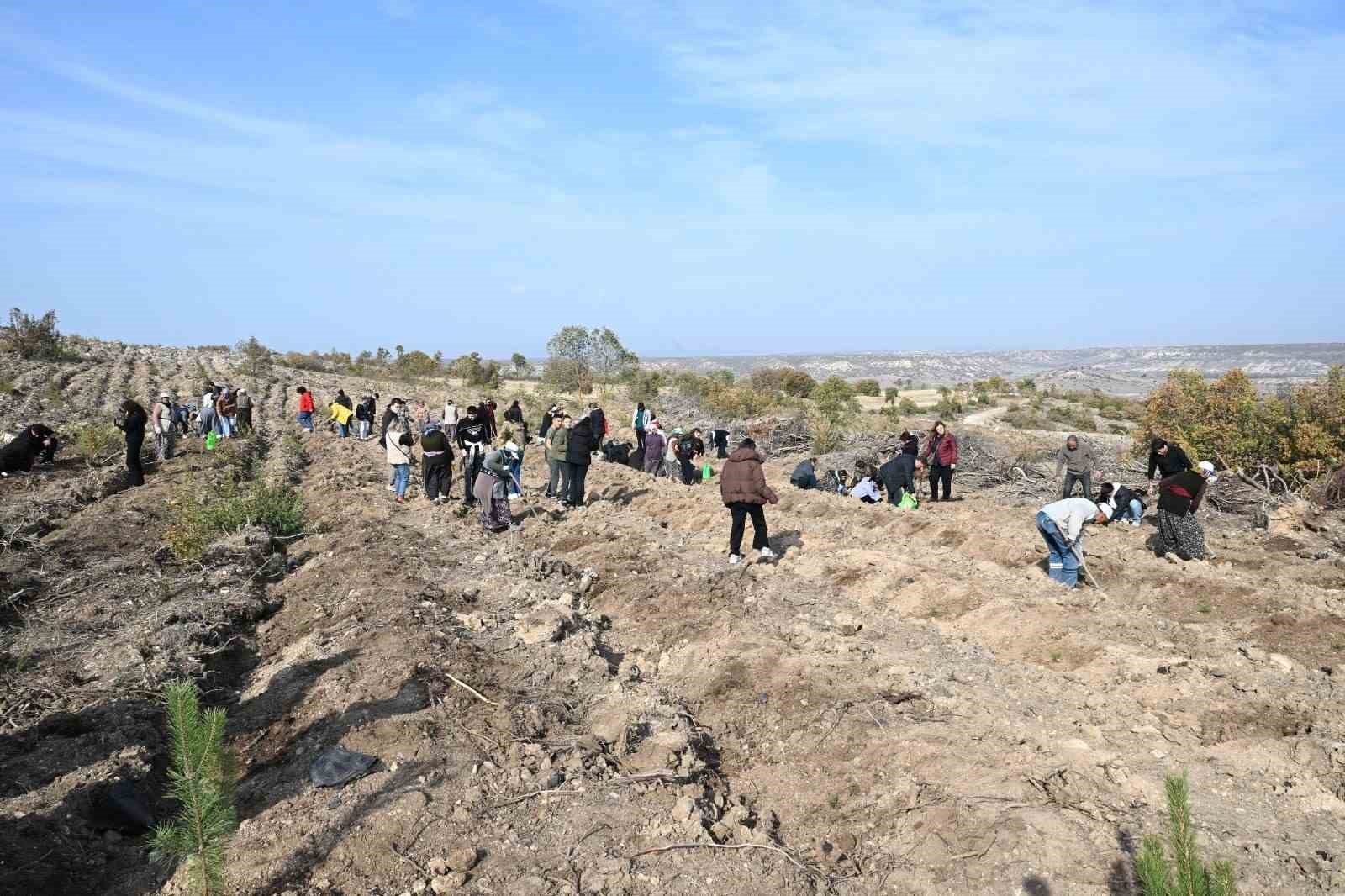 anadolu-universitesi-yunusun-fidanlarini-toprakla-bulusturdu