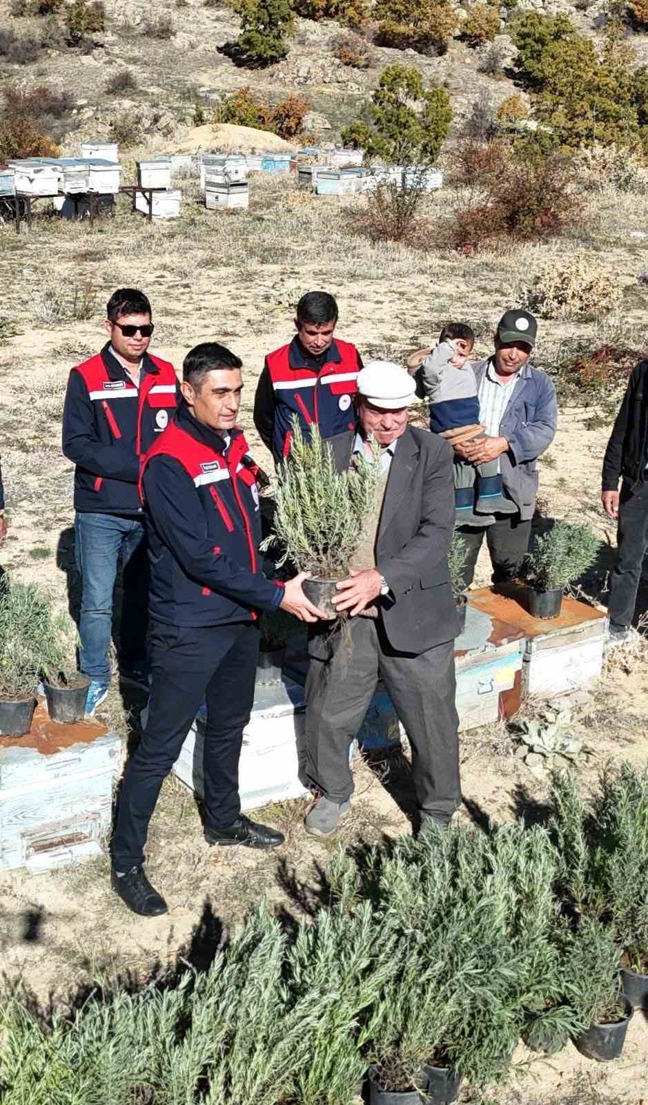 aricalara-lavanta-fidesi-dagitildi