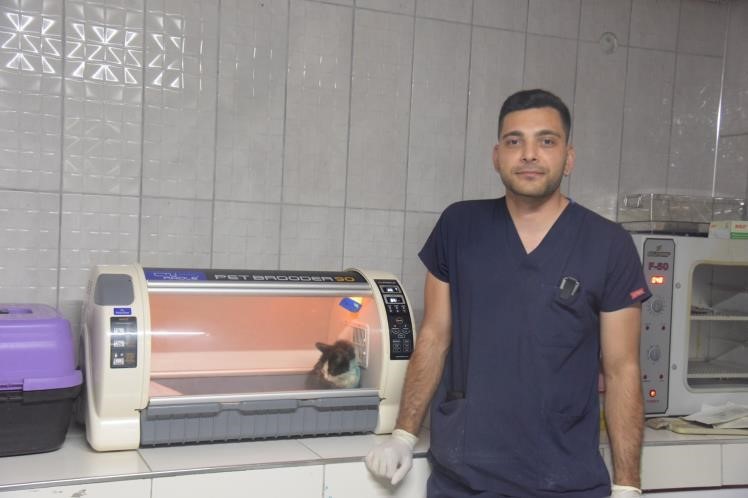 distal-oblik-kirigi-tespit-edilen-kedi-2-saatlik-operasyon-ile-sagligina-kavustu