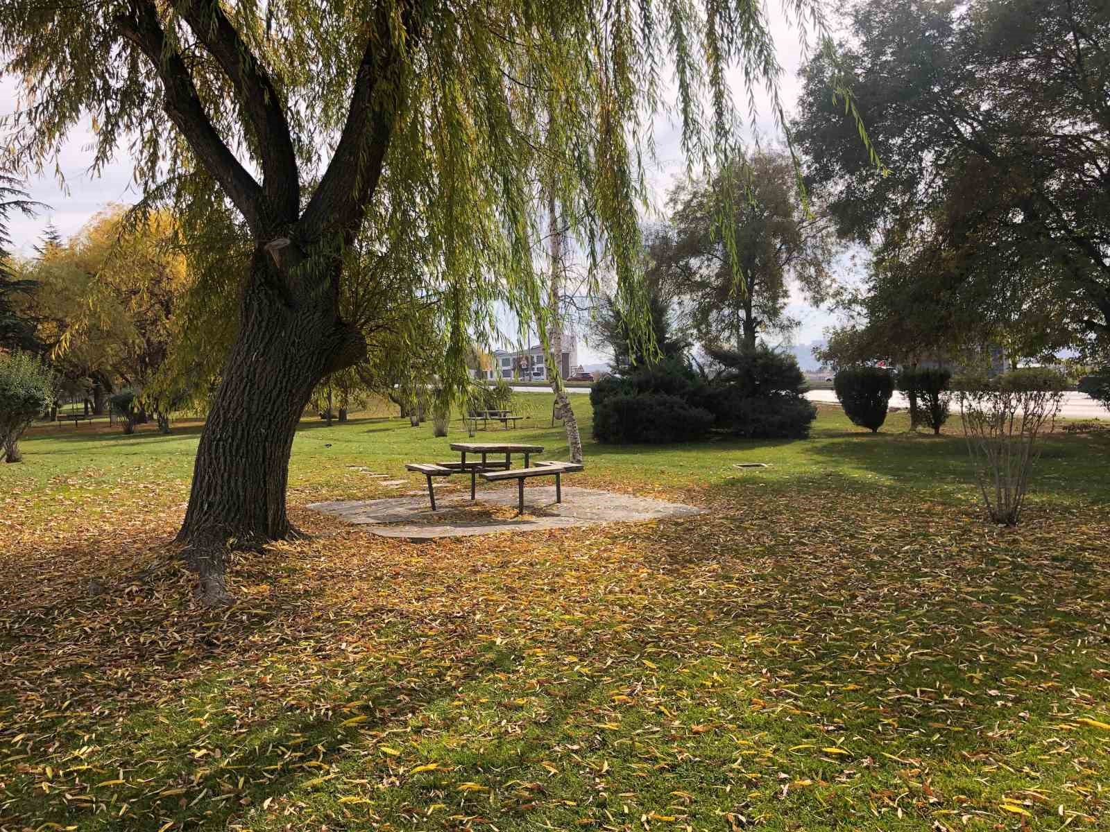 dokulen-yaprakla-kartpostallik-goruntuler-olusturdu