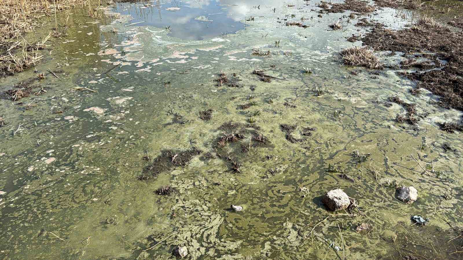 eber-golu-simdi-de-kirlilik-ile-gundemde