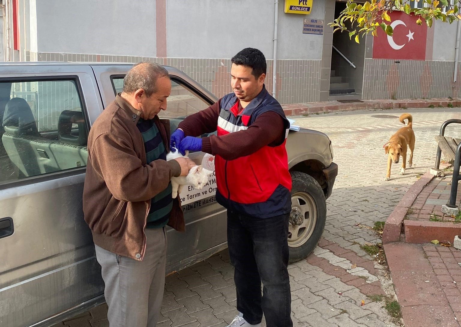 emette-sahipli-kedi-ve-kopeklere-mikrocip-ve-kuduz-asisi-uygulamasi