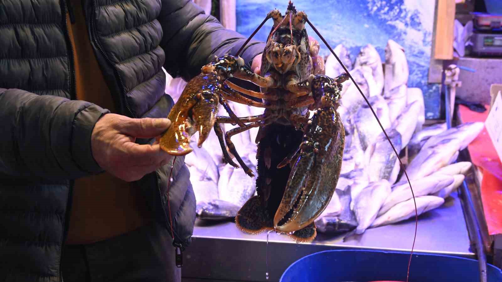 iskenderundan-gelen-lezzet