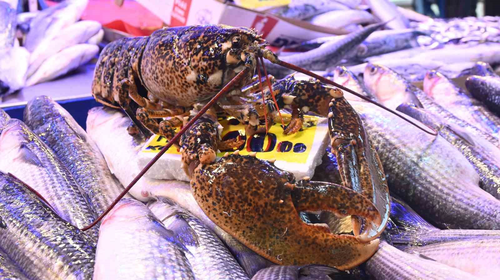 iskenderundan-gelen-lezzet