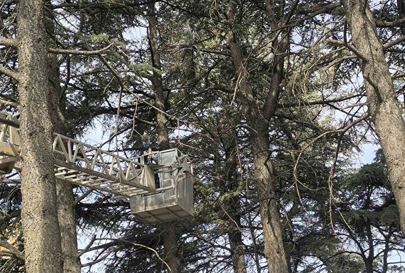 itfaiyeden-su-fiskirtma-teknigiyle-kedi-kurtarma-operasyonu