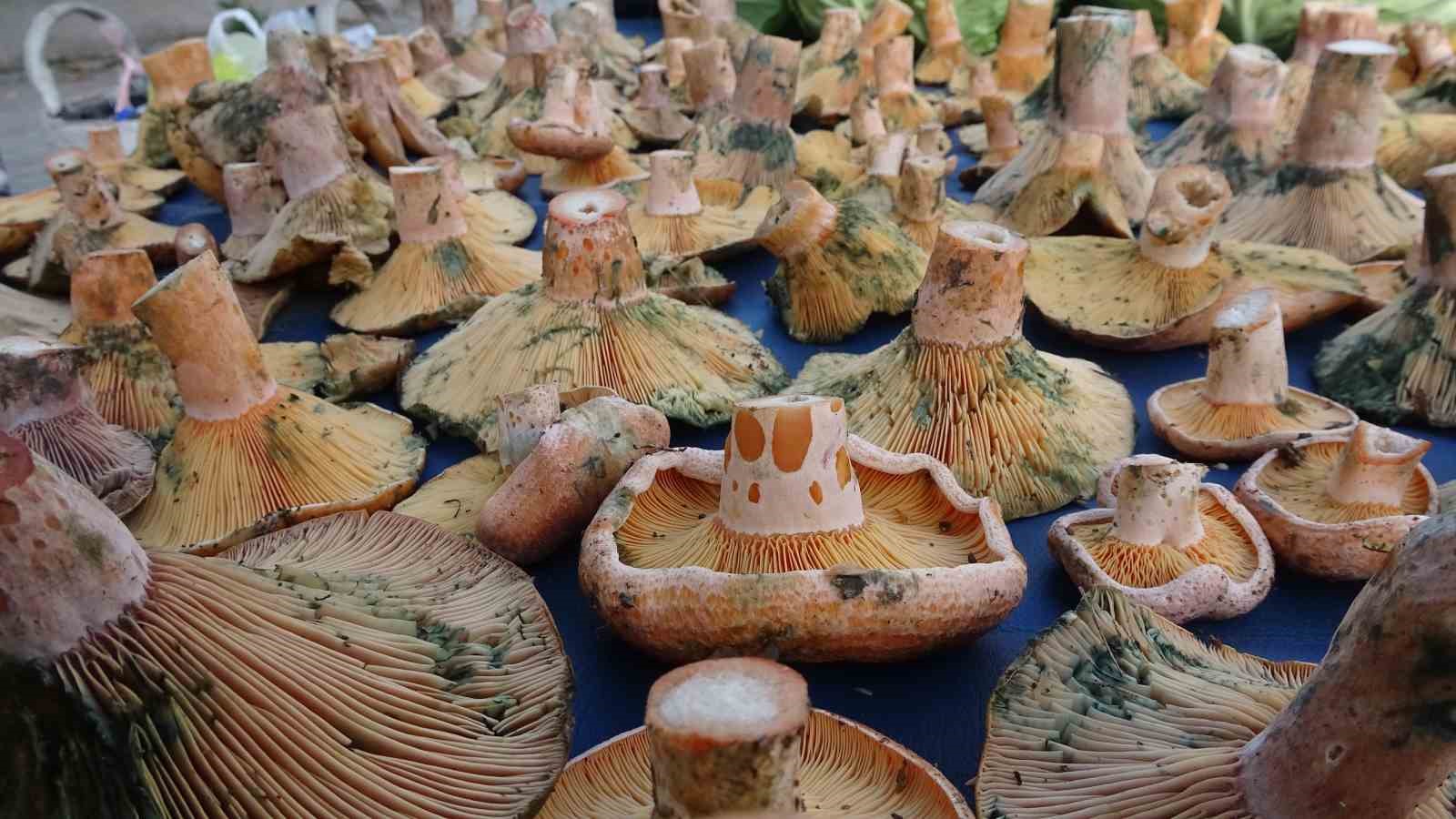 kutahyada-melki-bereketi