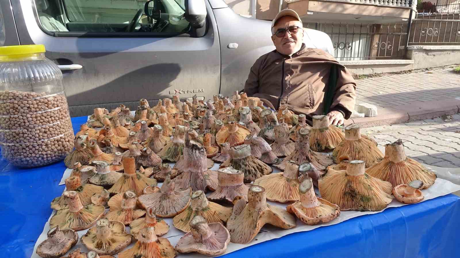 kutahyada-melki-bereketi