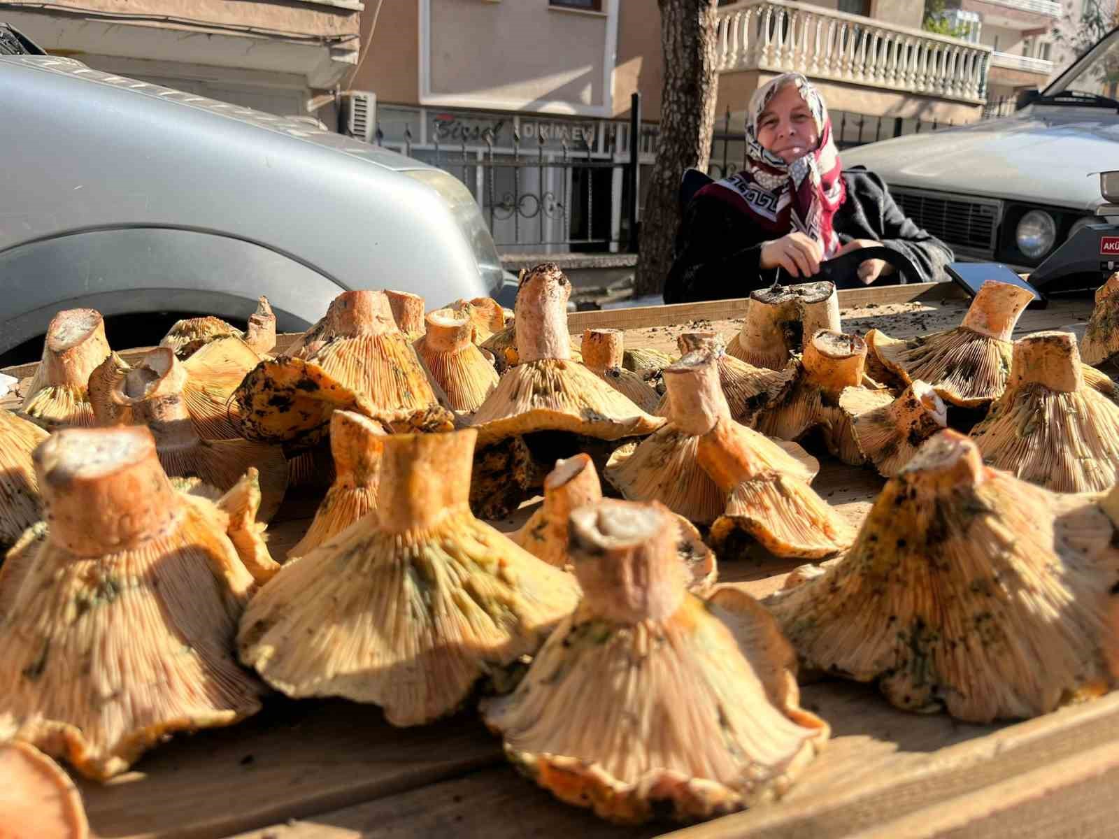 kutahyada-melki-bereketi