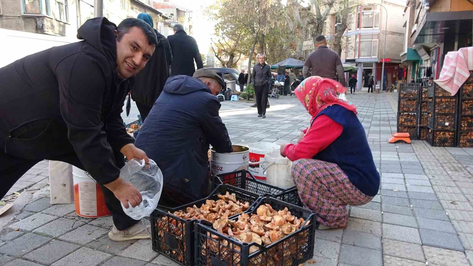 kutahyada-melki-mantari-cogaldi-fiyatlar-dustu