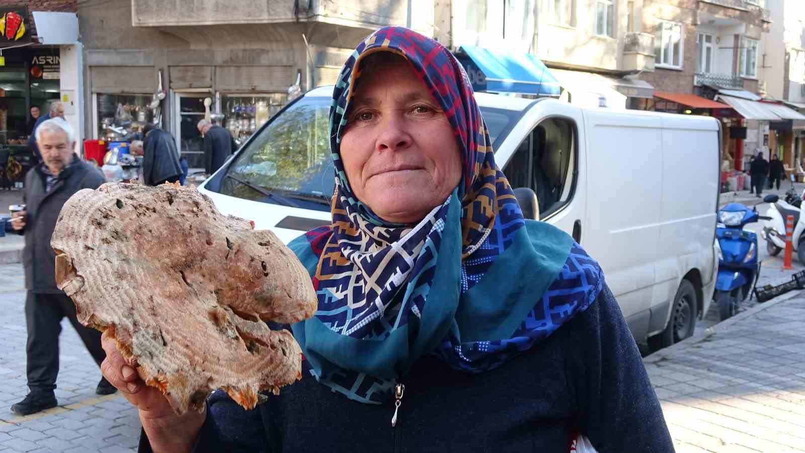 kutahyada-melki-mantari-cogaldi-fiyatlar-dustu