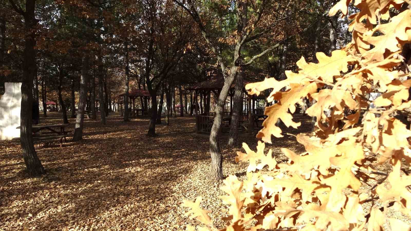 kutahyada-sonbahar-guzelligi