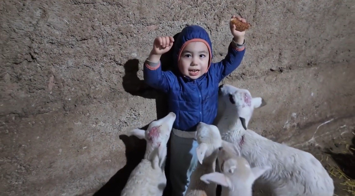 kuzularin-arasinda-kalan-minik-yusufun-tatli-halleri-gulumsetti