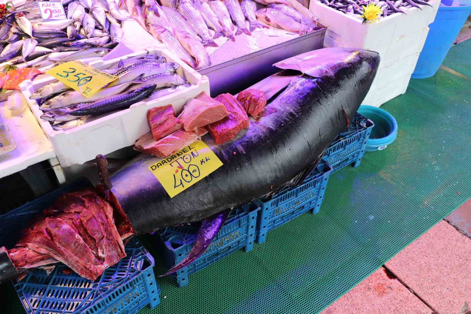 280-kiloluk-orkinos-vatandaslari-hayrete-dusuruyor