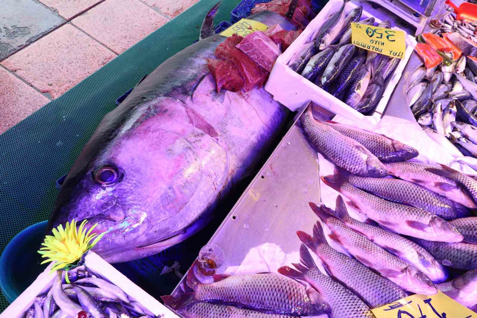 280-kiloluk-orkinos-vatandaslari-hayrete-dusuruyor