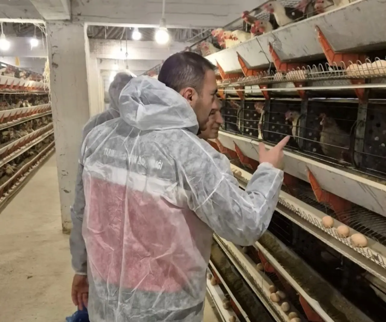 simavda-ticari-yumurtaci-tavukculuk-isletmesinde-ilk-resmi-denetim