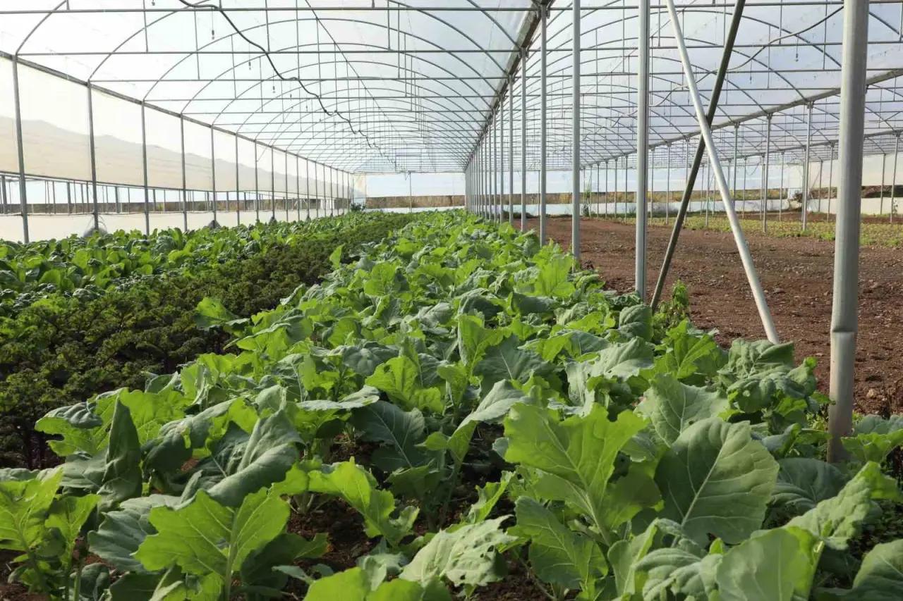 eskisehirde-organik-tarima-tam-not