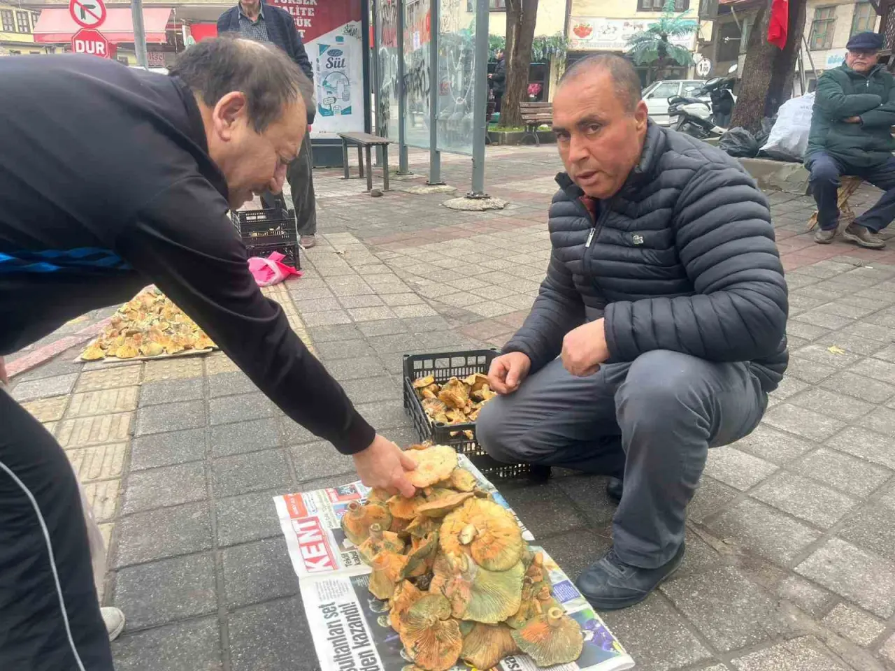 tavsanlida-aralik-ayi-sonunda-da-melki-mantari-bereketi