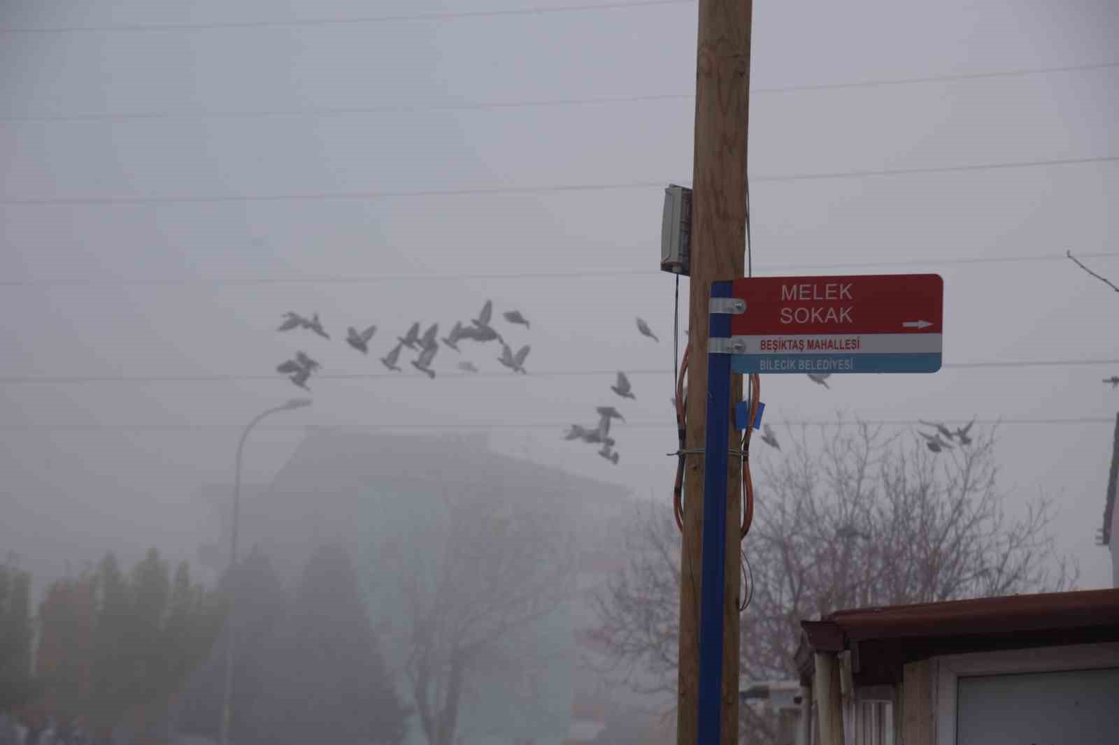 bilecikte-cadde-ve-sokak-tabelalari-yenileniyor