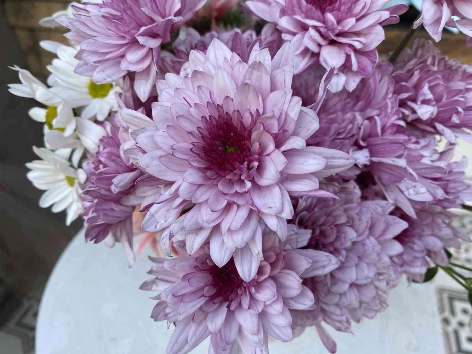 bir-saksiya-ayirdigi-cicekleri-kucuk-cocuklar-icin-ucretsiz-yapti