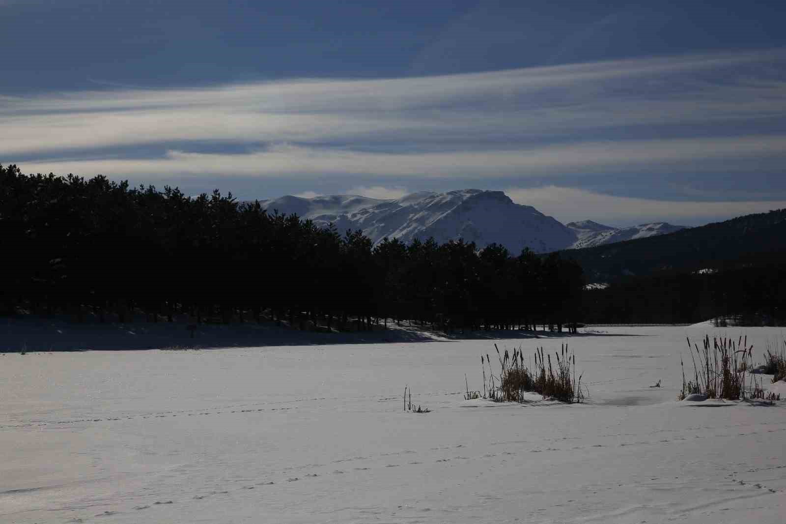 kar-yagisi-sonrasi-akdag-tabiat-parkinda-masalsi-kis-goruntusu