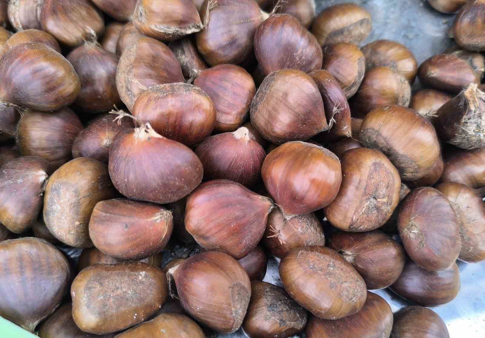 kestane-fiyatiyla-yuzleri-guldurdu