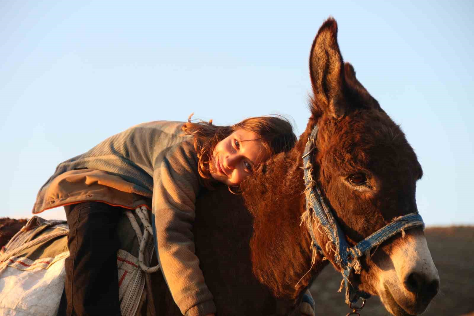 kucuk-kiz-baba-meslegi-cobanligi-devam-ettiriyor-eseginin-uzerinde-koyunlarini-guduyor