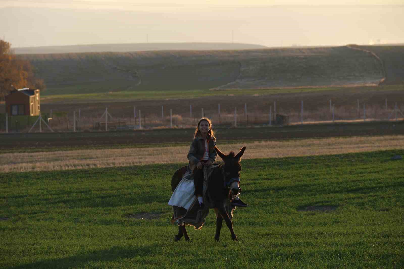 kucuk-kiz-baba-meslegi-cobanligi-devam-ettiriyor-eseginin-uzerinde-koyunlarini-guduyor