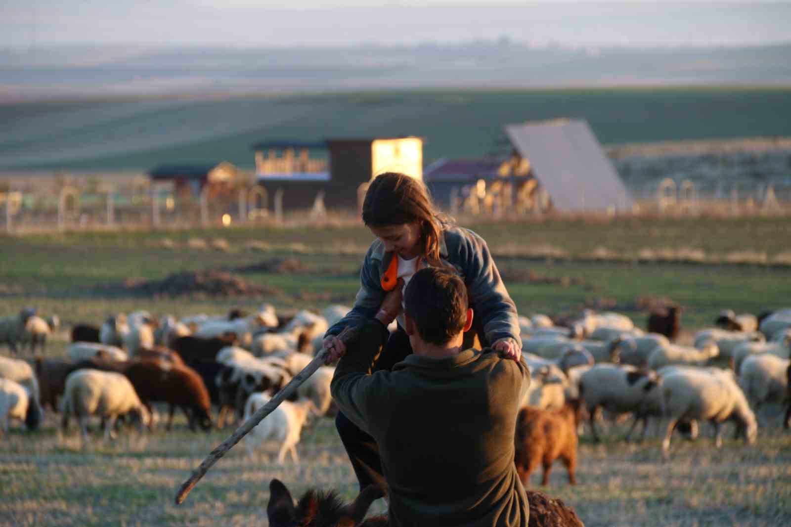kucuk-kiz-baba-meslegi-cobanligi-devam-ettiriyor-eseginin-uzerinde-koyunlarini-guduyor