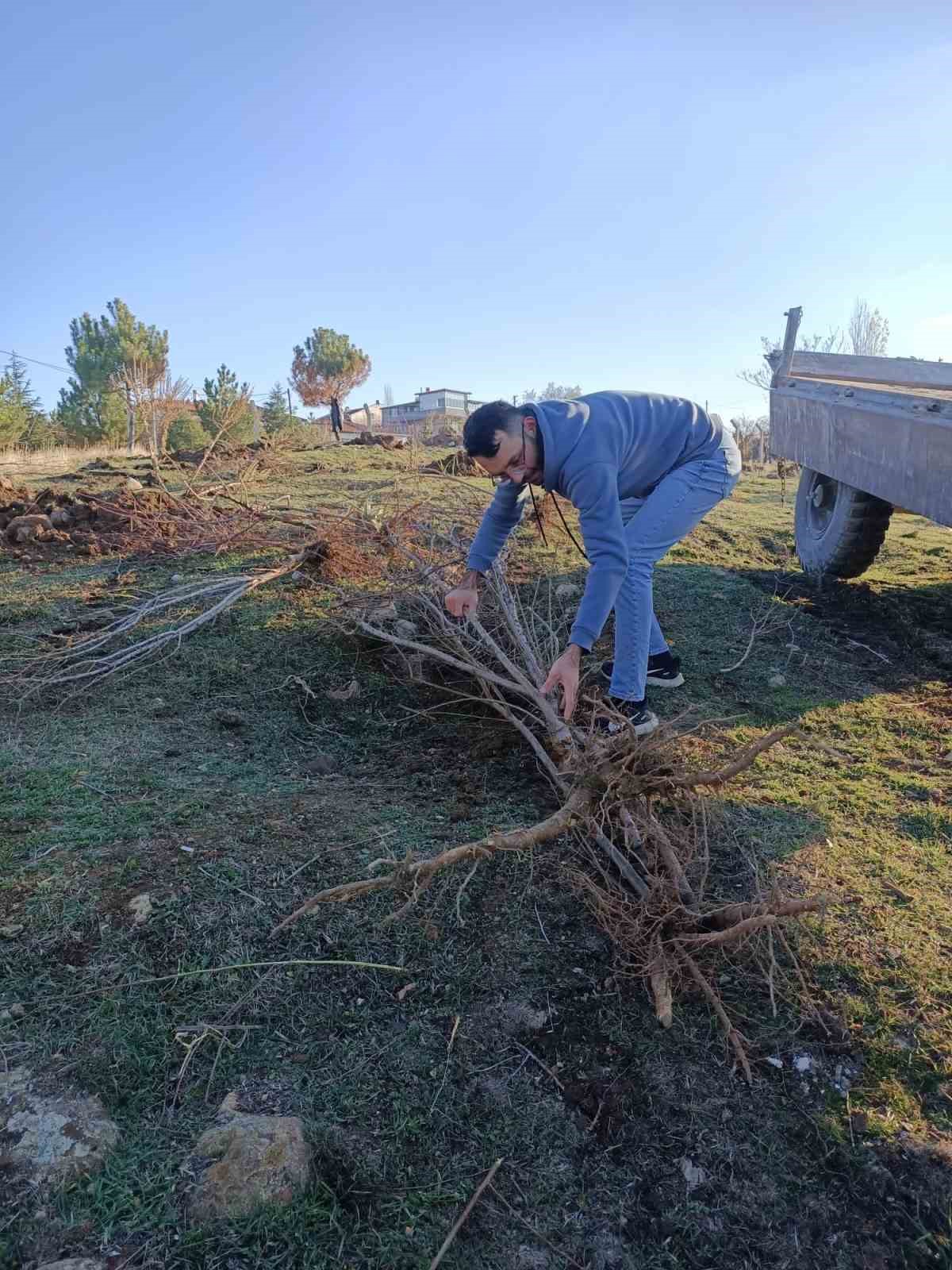 sandiklili-yarenler-badem-fidan-dikti