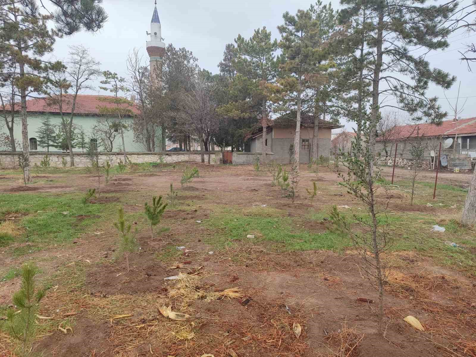 umraniye-koyluleri-300-adet-fidani-okul-ve-camii-bahcesine-diktiler