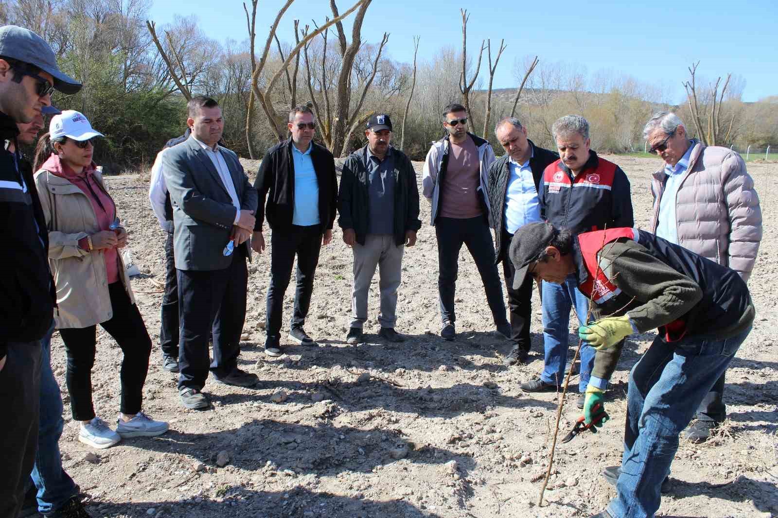 yukumluler-ile-meyve-fidanlarinda-dikim-budamasi-egitimi-yapildi