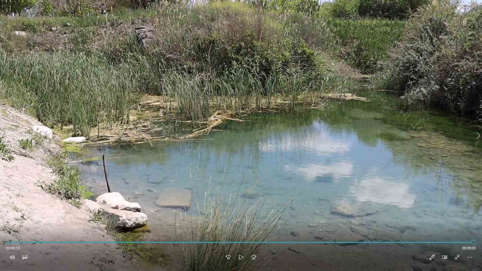 bu-canli-akvaryum-turizme-kazandirilmayi-bekliyor