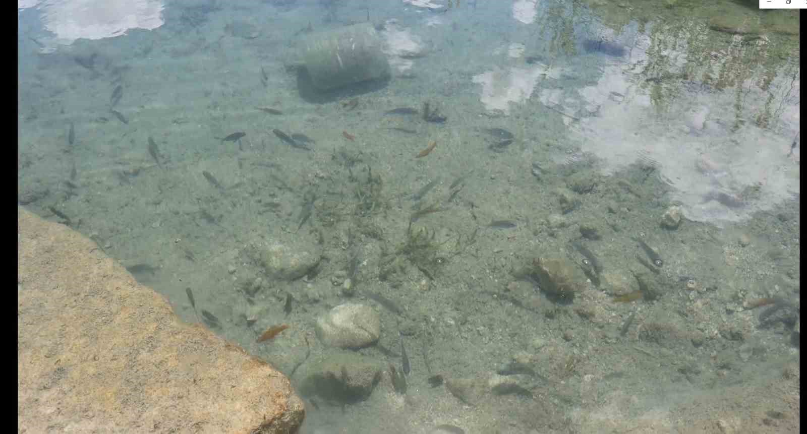 bu-canli-akvaryum-turizme-kazandirilmayi-bekliyor