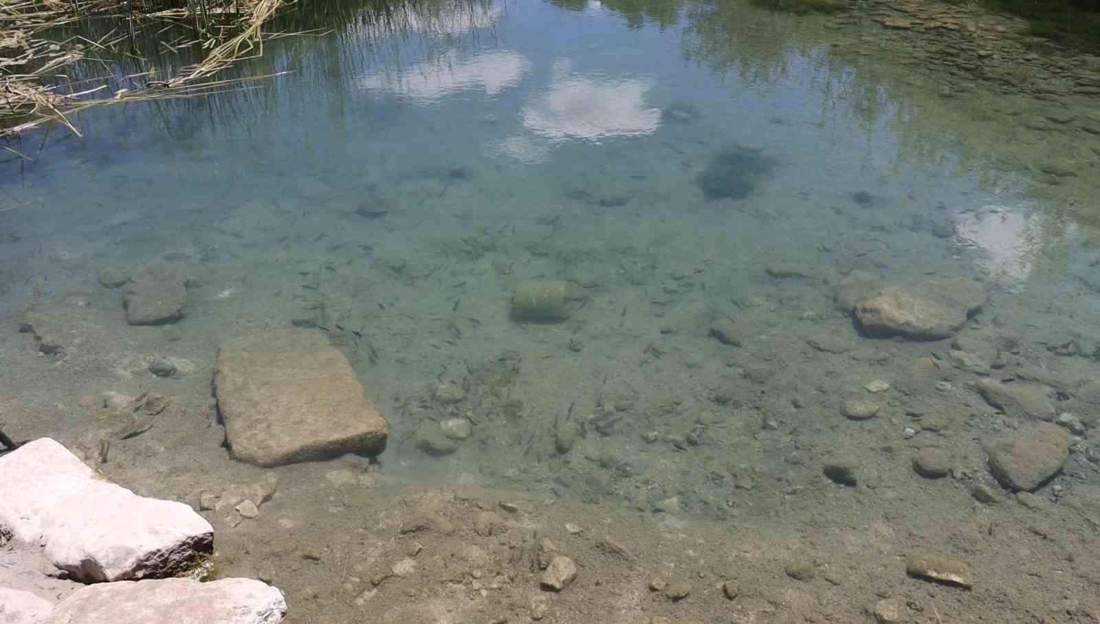 bu-canli-akvaryum-turizme-kazandirilmayi-bekliyor