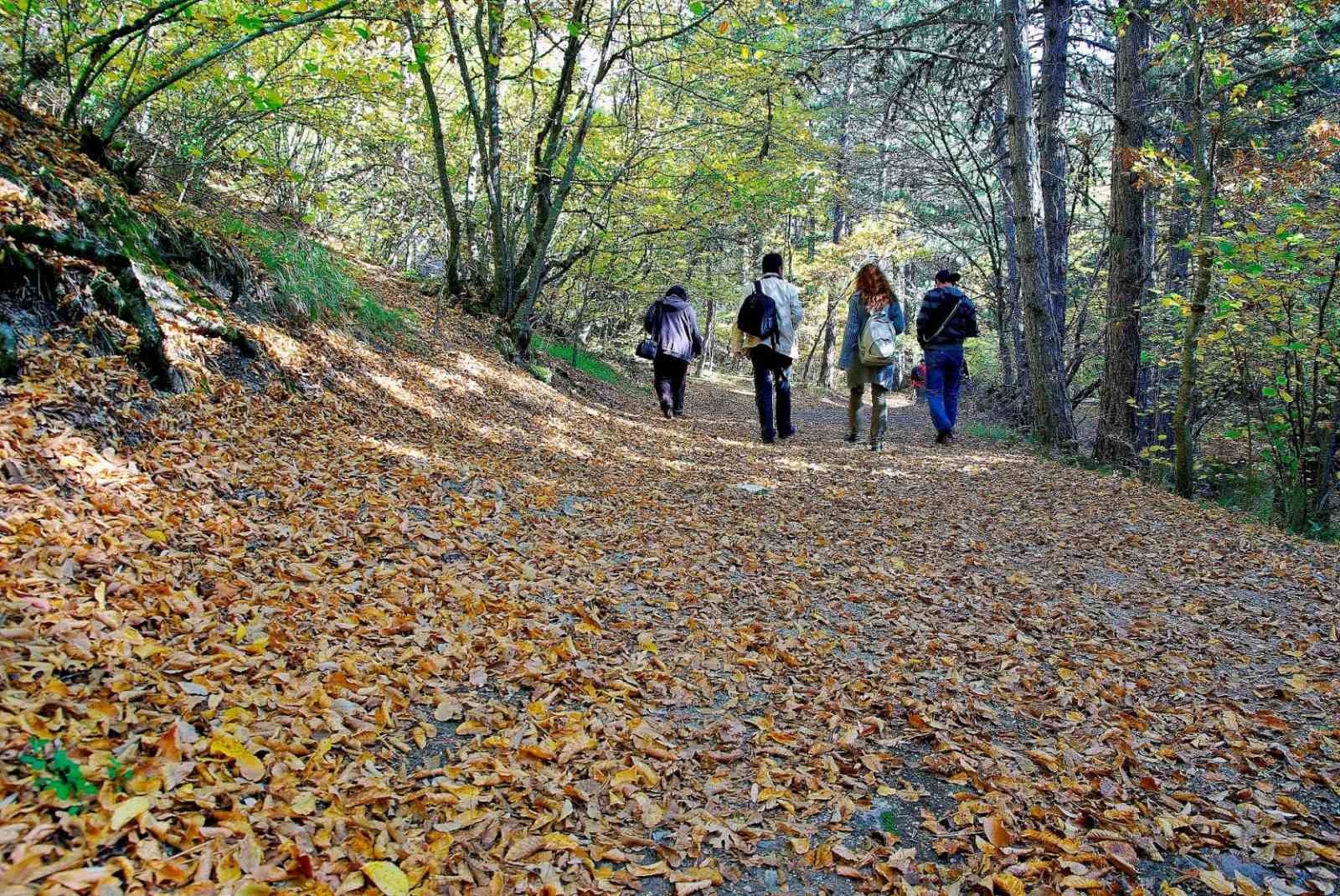 eskisehir-ve-afyonkarahisarda-ormanlik-alanlara-girisler-yasaklaniyor