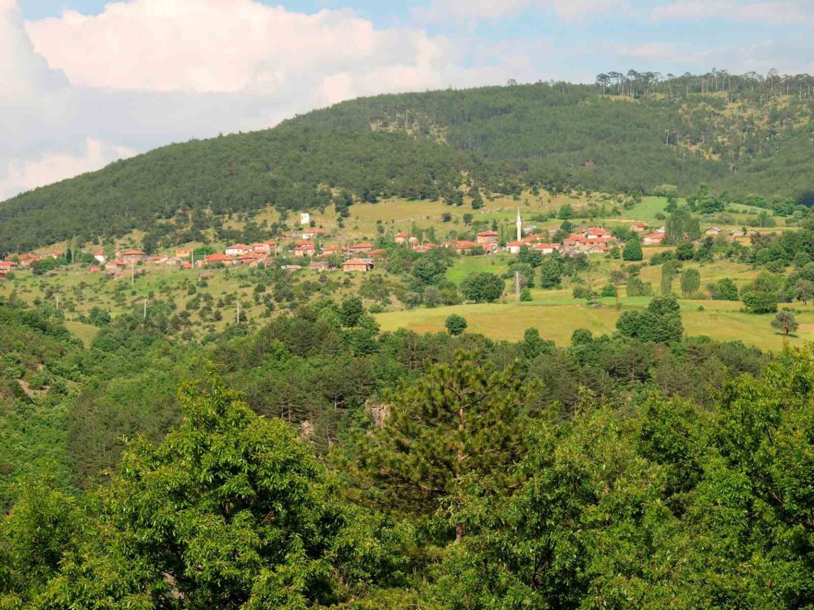 eskisehir-ve-afyonkarahisarda-ormanlik-alanlara-girisler-yasaklaniyor